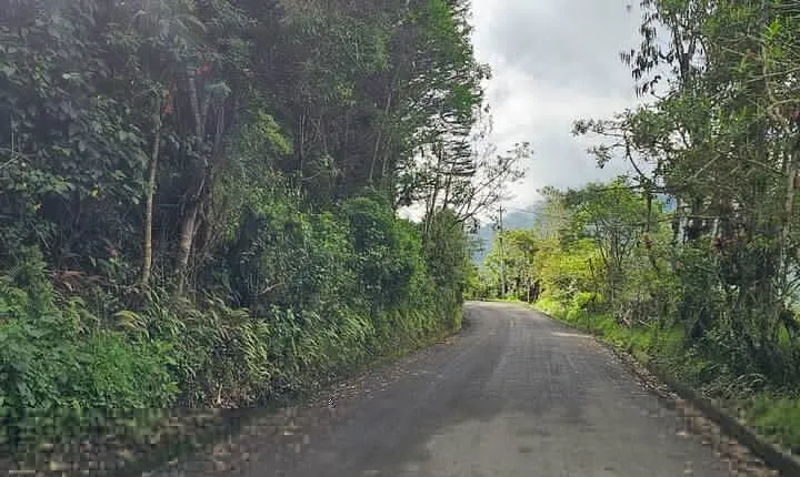 Transfer to Mashpi Amagusa Reserve one way
