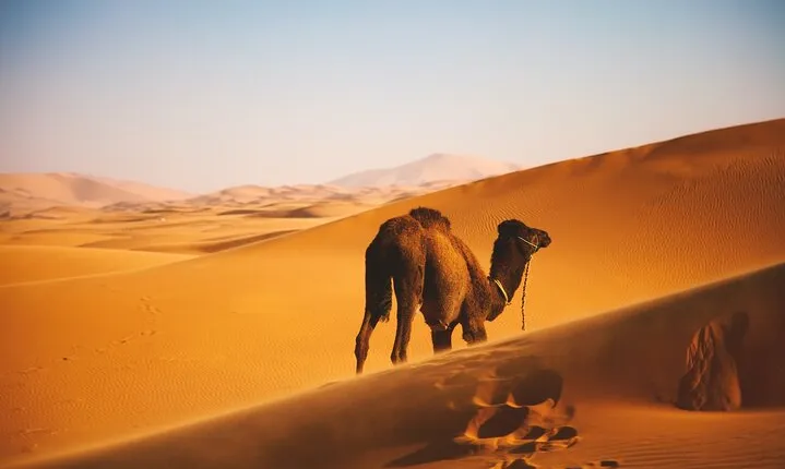 Private 3 days 2 nights Roundtrip Tour in Oman