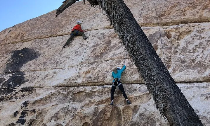 Beginner Group Rock Climbing in Joshua Tree National Park