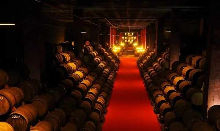 Bairrada Wine Tour