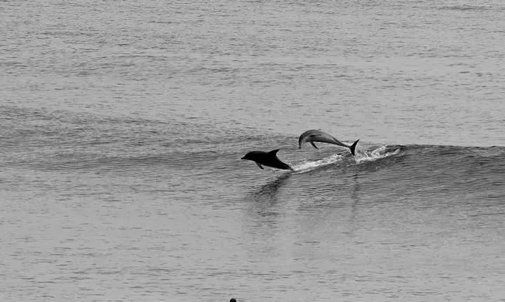 Overnight Tweed Coast Camping and Surfing Getaway From The Gold Coast