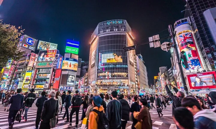 Tokyo Private Night Tour by Car/Van - English speaking chauffeur