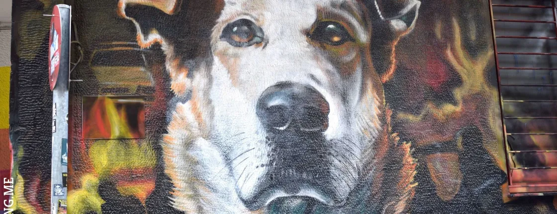 Private guided walking tour of Athens' street art and culture