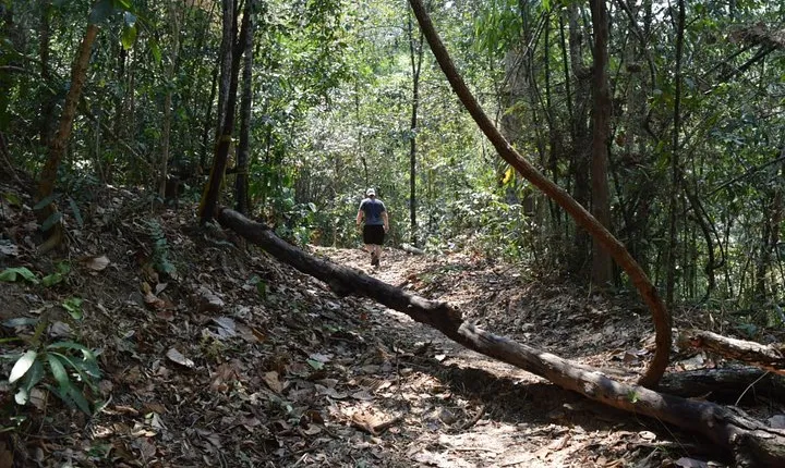 Half Day Doi Suthep Temple and short trekking on monk trail (Private Tour)