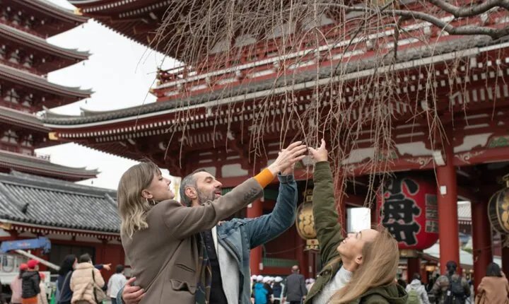 Tokyo Top 10 Highlights & Hidden Gems: Private Tour with a Local