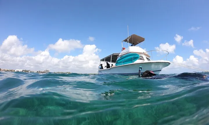 Snorkel in the beautiful reef of Puerto Morelos with transport