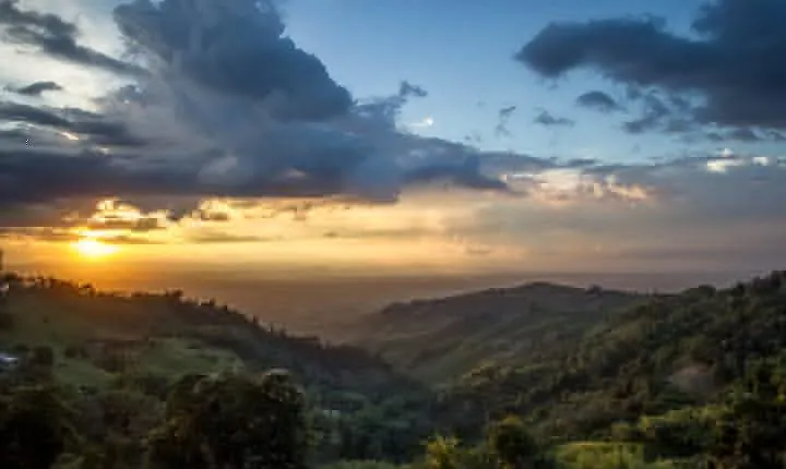 Quindío's Magical Towns experience from Salento