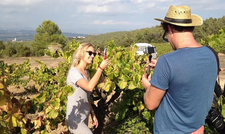 Wine tasting & E-bike Barcelona's coastline Small Group tour