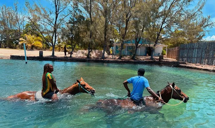 Horseback Ride and Swim Private Tour In Montego Bay 