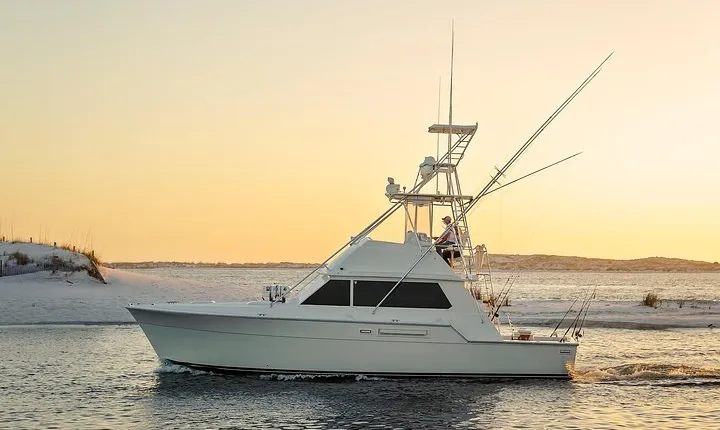 6 Hour Family Fun Fishing Charter on a 42’ Sportfish ,Alibi