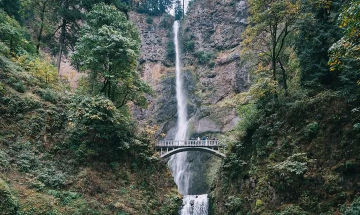 Afternoon Half-Day Multnomah Falls and Columbia River Gorge Waterfalls Tour from Portland
