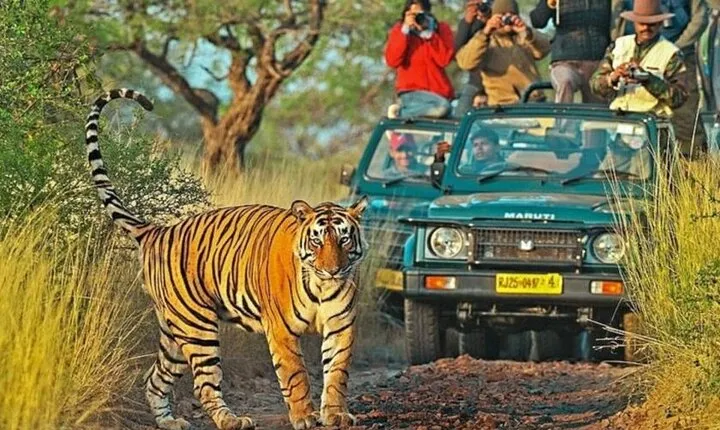 7 Days Private Golden Triangle and Ranthambore Tour