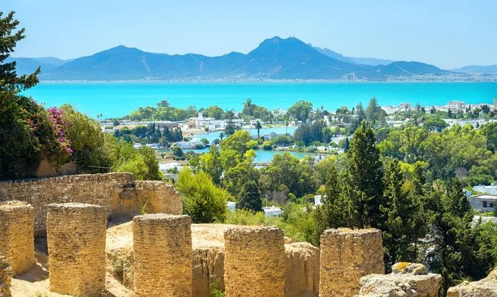 Carthage, Bardo Museum, Sidi Bou Said and Medina Private Day Tour