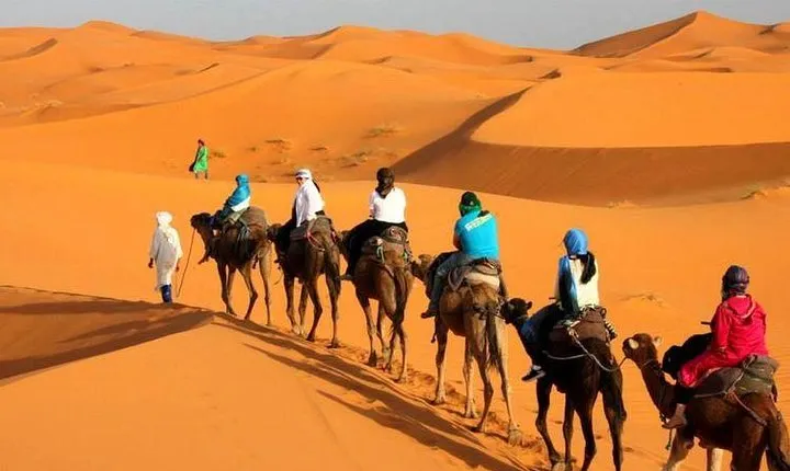 Camel ride in Tanger