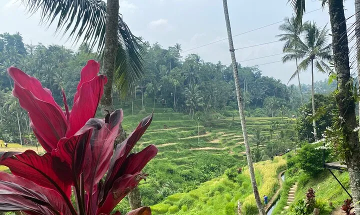 One Day Exploring Ubud