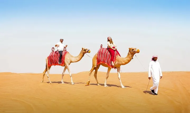 Dubai: Desert Camel Ride with Live Shows & BBQ Buffet Dinner