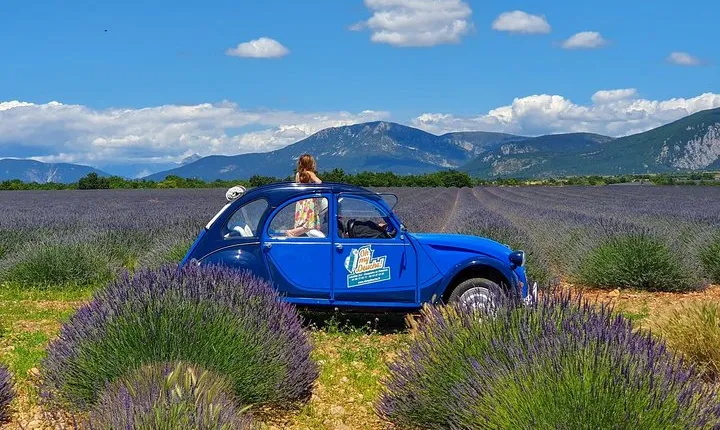 The lavender road in 2cv