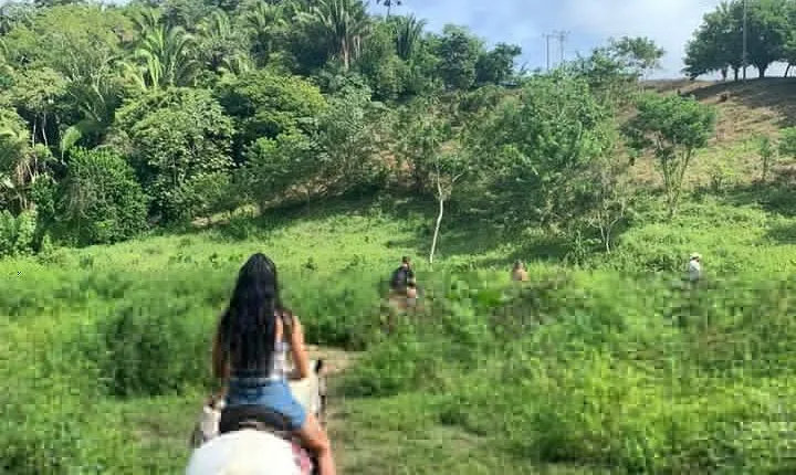 1 HR Horseback riding + Sloths, Island Tour & Beach Break