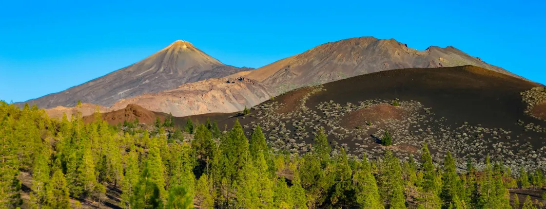 Teide National Park tour with local guide