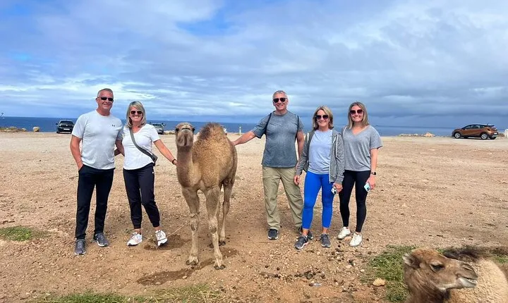 Vip Full Day Private Tangier Tour From Malaga All Inclusive