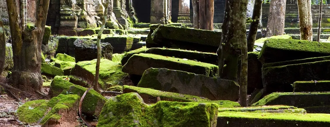 Beng Mealea and Banteay Srei temple private full-day tour