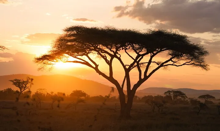 9 Days Private Camping Safari