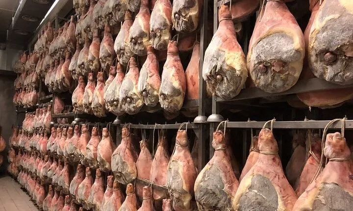 Modena Food:Prosciutto,Parmigiano,Balsamic,Wine,Lunch,Transport