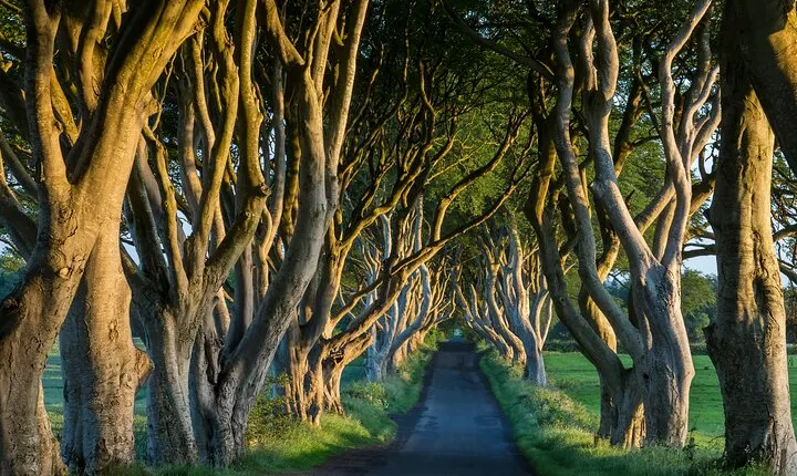 Private Northern Ireland Day Tour from Dublin