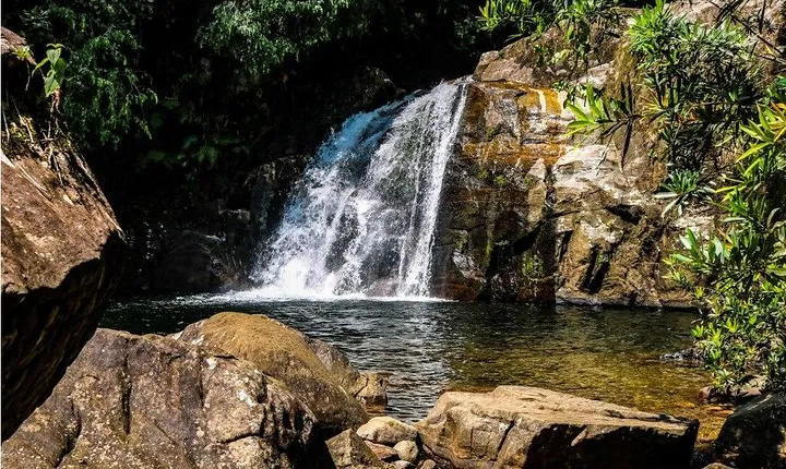 Private Day Trip: Sinharaja Rainforest Trek from Galle, Weligama & Mirissa