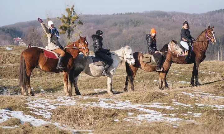 Five hours of extreme horse riding trip around Lviv city for experienced riders