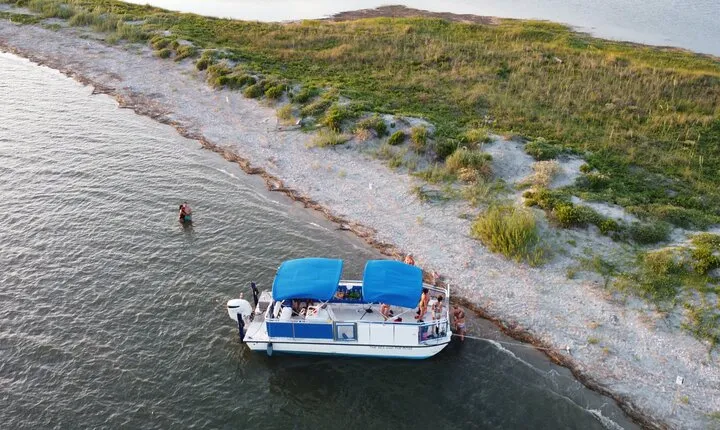 Dolphin Boat Tour from Folly Beach to Morris Island