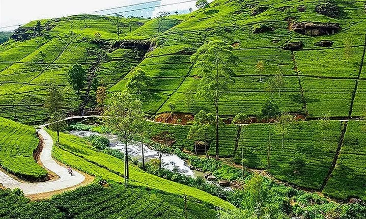 Day Tour to Nuwara Eliya from Kandy by Lux Tours Lanka