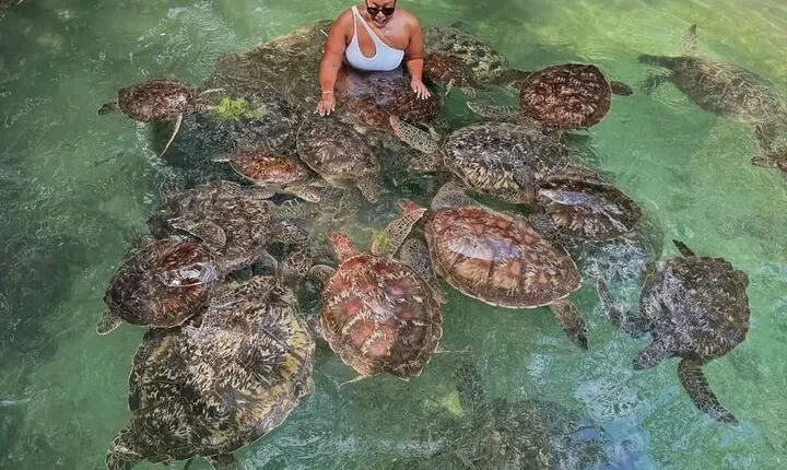 The Magic Journey Tanzania and Zanzibar 