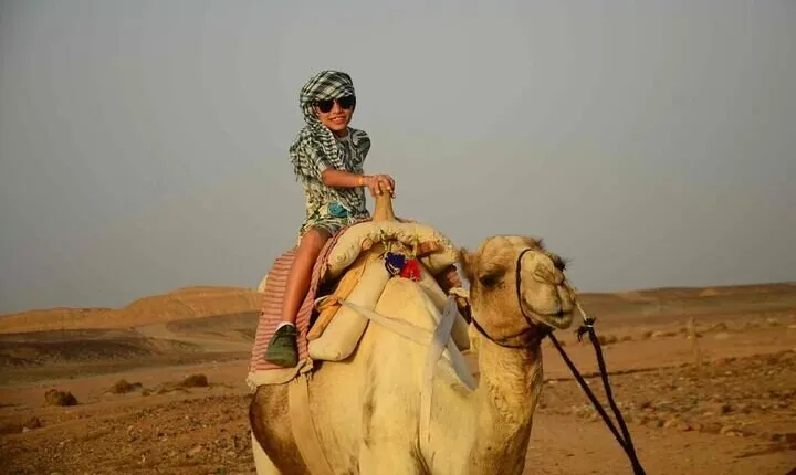 Desert Adventure: Quad, Jeep, Bedouin Dinner & Show – Marsa Alam