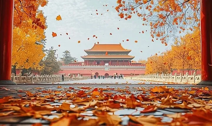 Historical relaxing tour of forbidden city