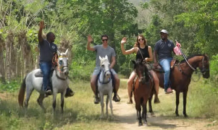 Eco-Tour on Horseback