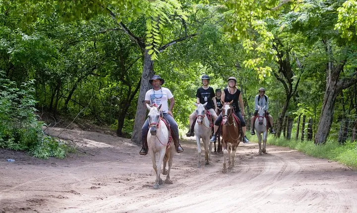 Horseback Riding tours in Brasilito