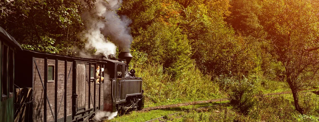 Day trip to Maramures on the Mocanita Train from Cluj-Napoca