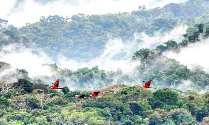 Carara National Park Admission Ticket