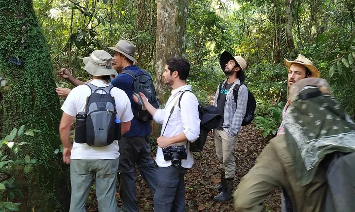 Regional Cruise in the Amazon