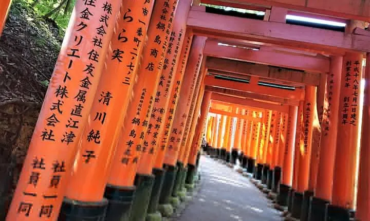 Kyoto Early Bird Walking Tour