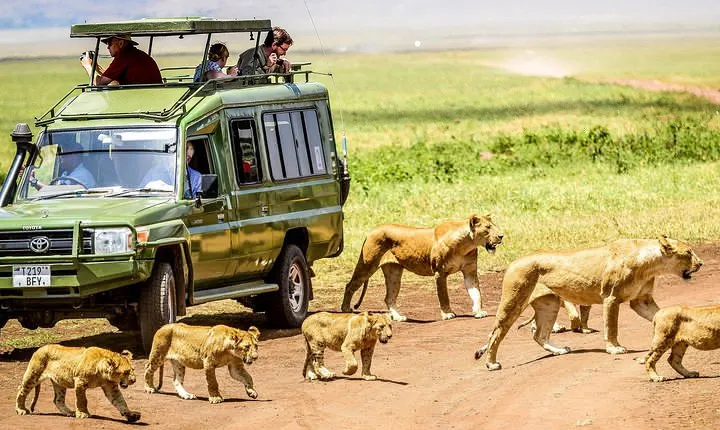3 Days Private Safari - manyara, Ngorongoro & Tarangire