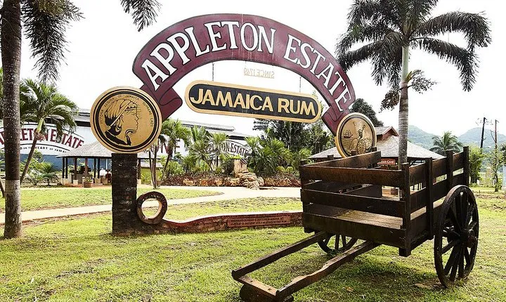 Appleton Estate Rum Tour and Tasting from Ocho Rios