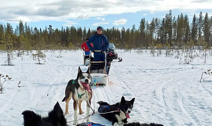 Rovaniemi Husky Safari Self Drive Adventure