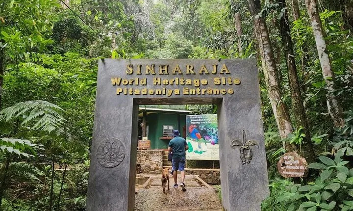 Sinharaja Rain Forest Guided Day Tour