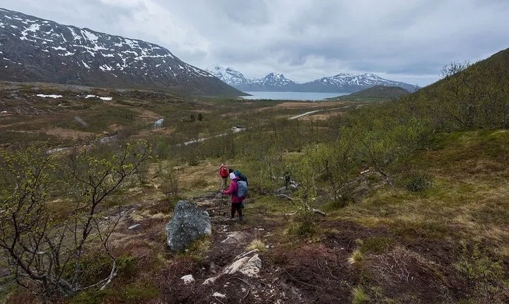 Small Group Citizen Science Hike in Tromso