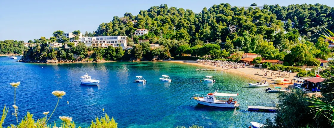 Boat tour to Skiathos from Agios Ioannis and Mouresi