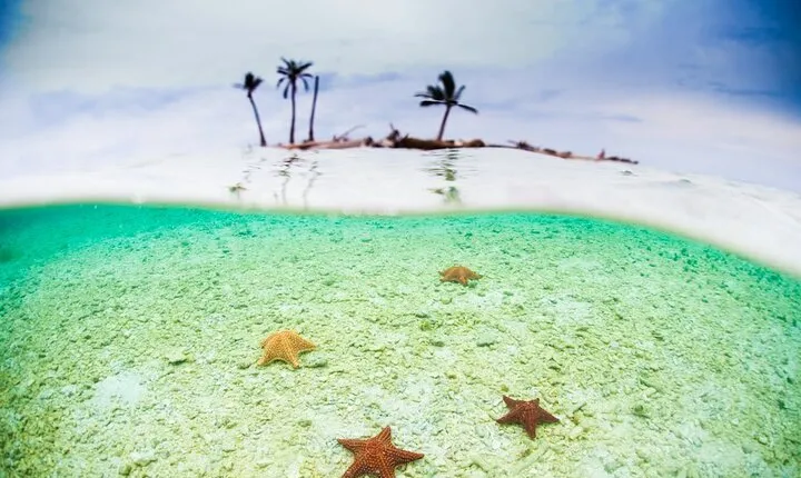 3 Days in San Blas Islands! Beach & Jungle Tour includes La casa de papel