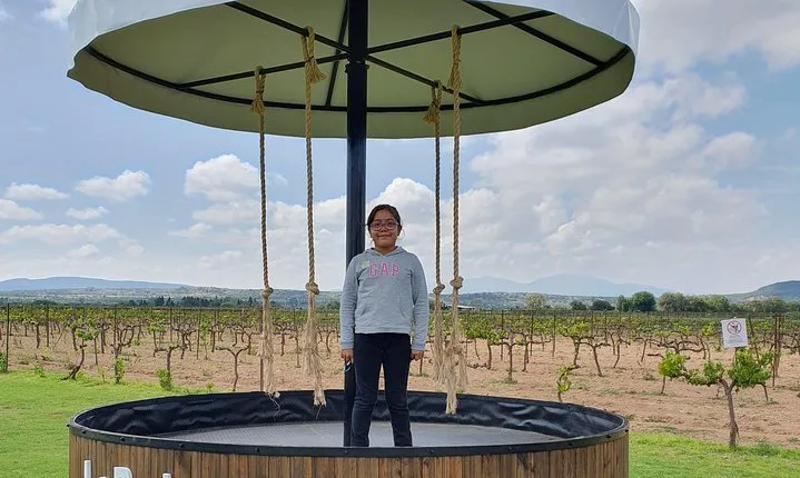Between Vineyards and Magic of the Peoples