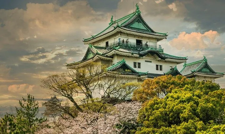 Nara, Todaiji Temple & Kuroshio Market Day BUS Tour from Osaka